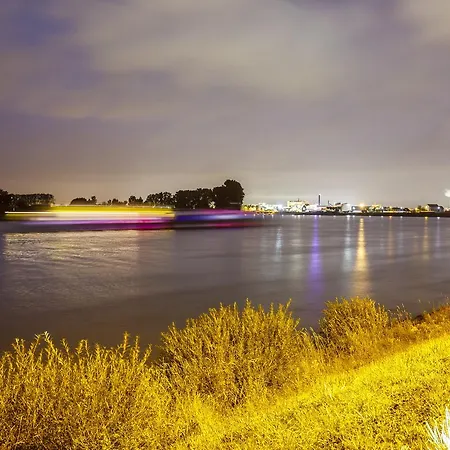 Rheingold 3* Gernsheim