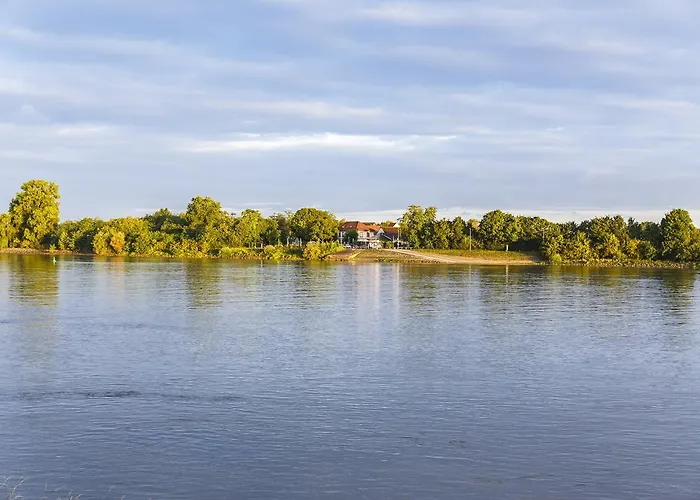 Rheingold ホテル 3*